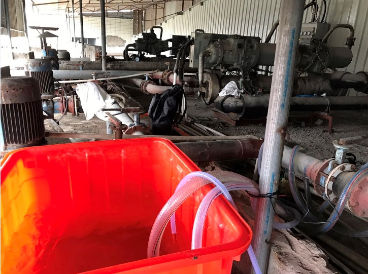 Ȫ��ĳ�̈�������{��������ϴ